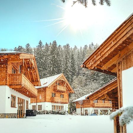 Luxury Chalets Gradenbach Near Schladming Haus im Ennstal Buitenkant foto