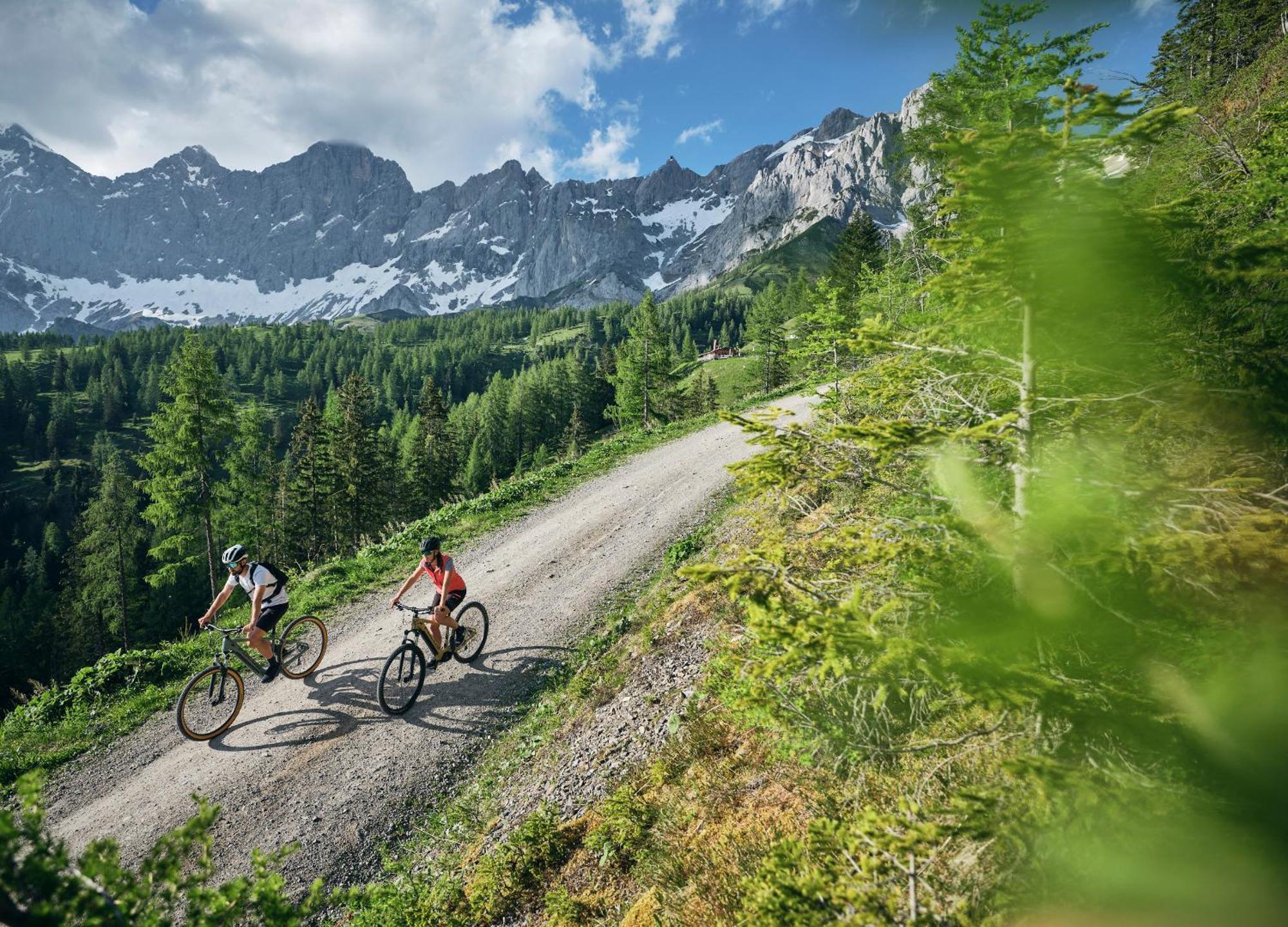 Luxury Chalets Gradenbach Near Schladming Haus im Ennstal Buitenkant foto